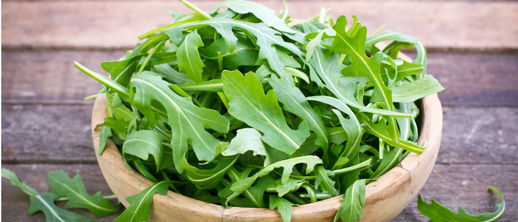 Benefícios da Rúcula